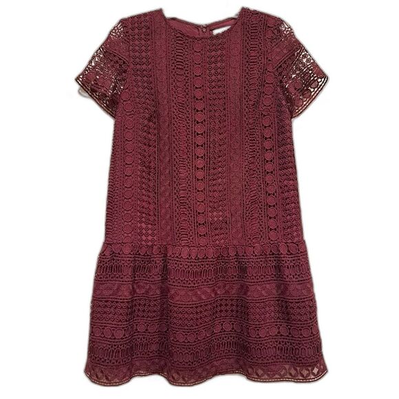 Ann Taylor LOFT Embroidered Mini Dress Red Maroon Ruffles Tiered Lined Lace Sz 4 - Picture 1 of 6